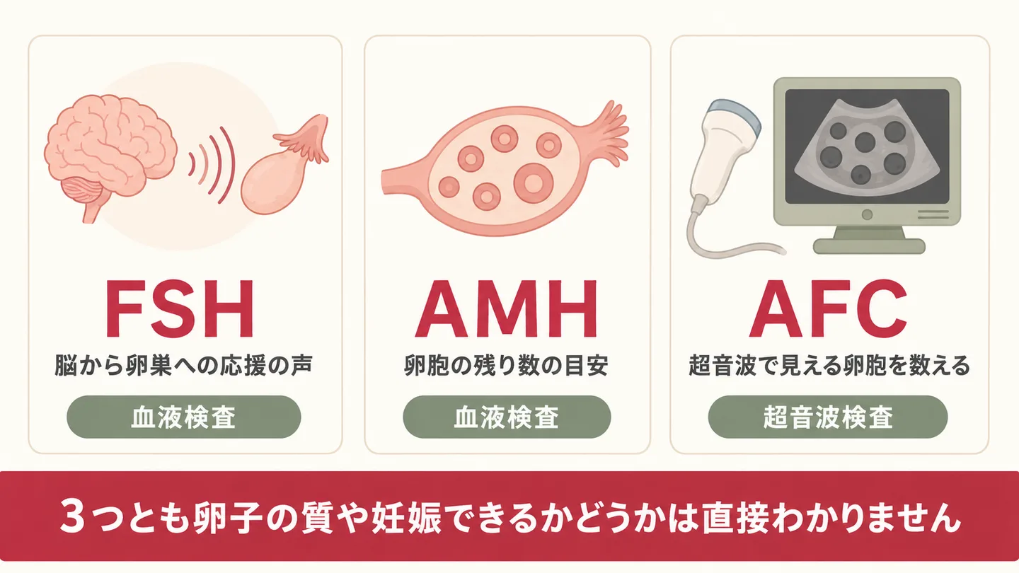 妊活の検査FSH・AMH・AFCの違いを比較した図