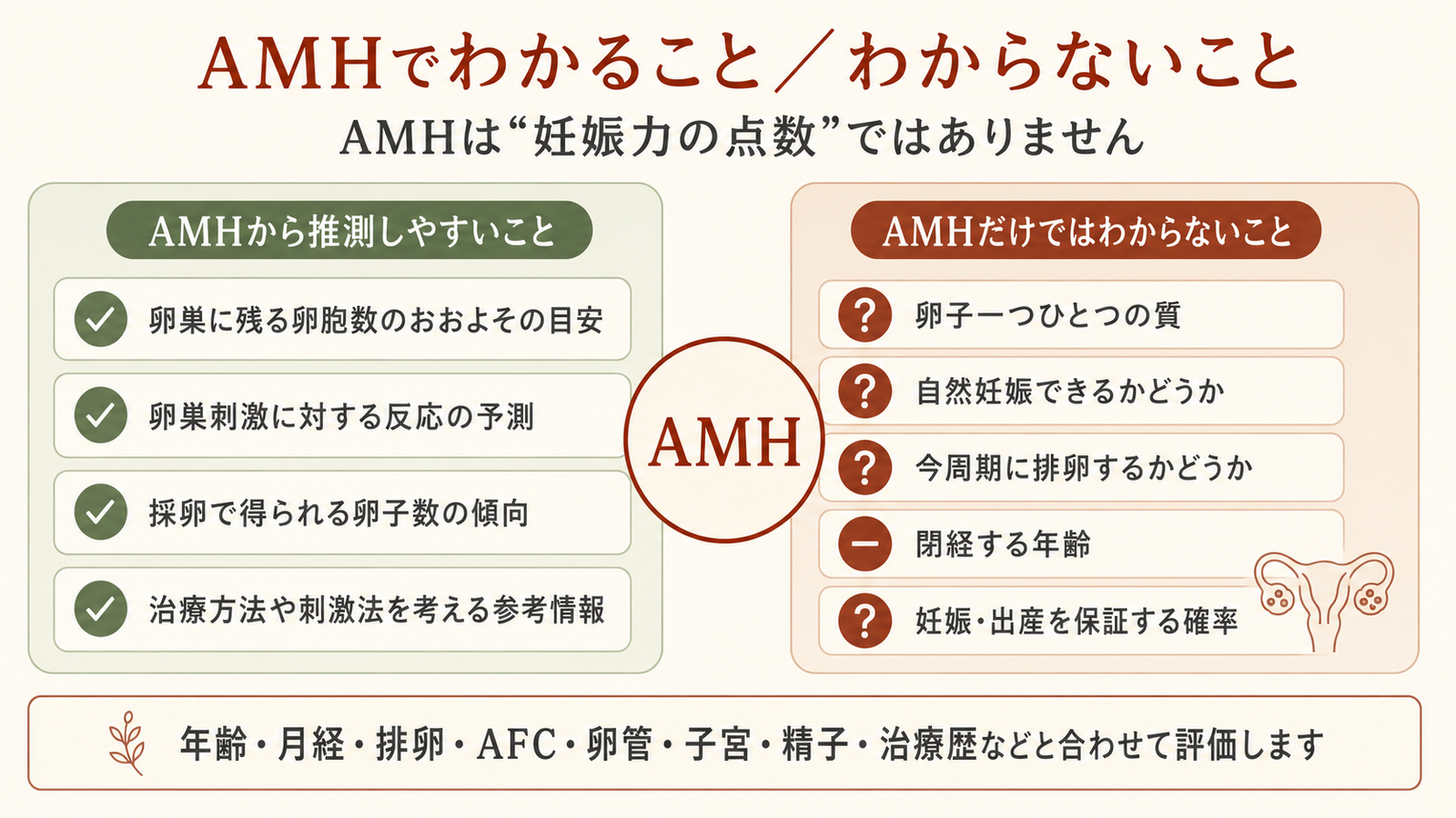 AMHでわかる卵胞数の目安とわからない卵子の質