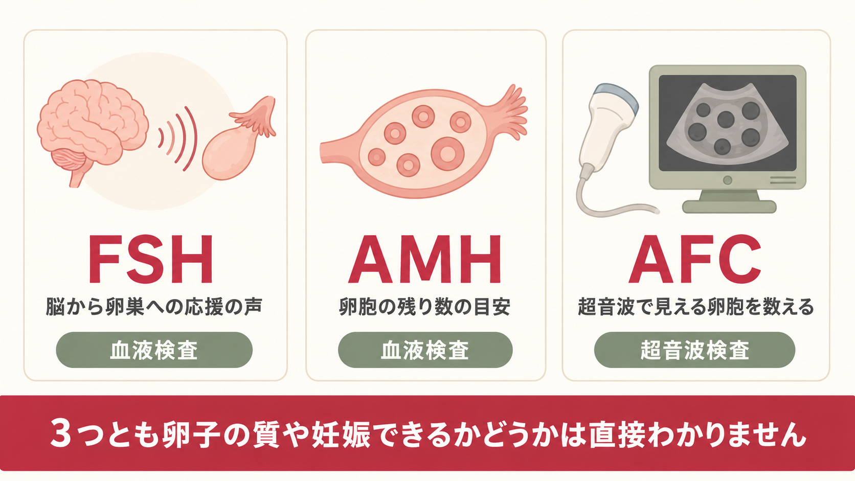 妊活の検査FSH・AMH・AFCの違いを比較した図
