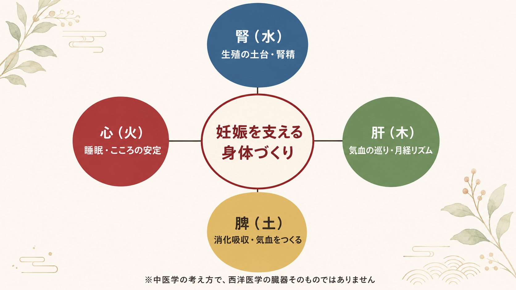 高FSHの妊活を中医学の腎・肝・脾・心から考える関係図
